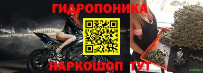 гашиш Кингисепп
