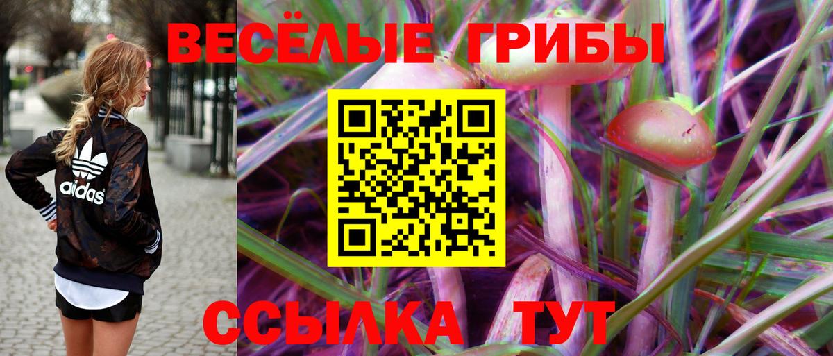 Галлюциногенные грибы прущие грибы Лангепас
