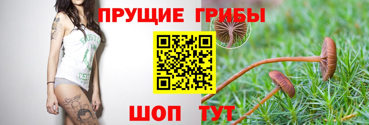 Псилоцибиновые грибы прущие грибы  Вход с VPN  где купить наркоту  Лангепас 